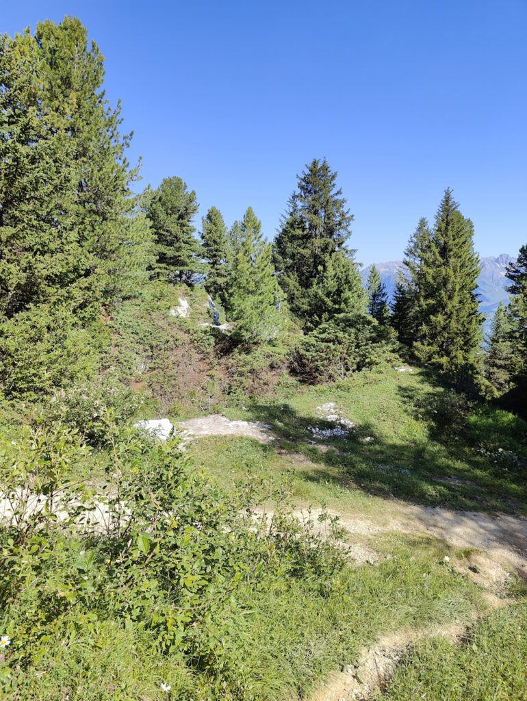 paysage1